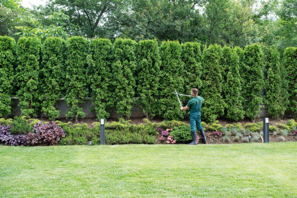 Best Lawn Pest Prevention  in Pikeville, TN